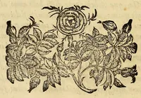 An illustration from De Tiberis inundatione medica disputatio : auctore Marsilio Cagnato ; Epidemia Romana, disputatio scilicet, de illa populari aegritudine, quae anno 1591 & de altera, quae anno 1593 in urbem Romam invasit .. (1599)