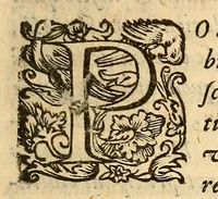 An illustration from De Tiberis inundatione medica disputatio : auctore Marsilio Cagnato ; Epidemia Romana, disputatio scilicet, de illa populari aegritudine, quae anno 1591 & de altera, quae anno 1593 in urbem Romam invasit .. (1599)