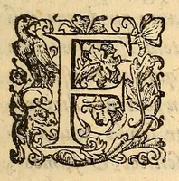 An illustration from De Tiberis inundatione medica disputatio : auctore Marsilio Cagnato ; Epidemia Romana, disputatio scilicet, de illa populari aegritudine, quae anno 1591 & de altera, quae anno 1593 in urbem Romam invasit .. (1599)