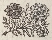 Picture 8 of 15 from Detti, e fatti memorabili del Senato, e patritii Veneti (1672), leaf 116