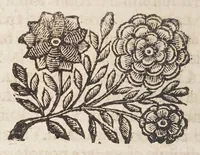 Picture 12 of 15 from Detti, e fatti memorabili del Senato, e patritii Veneti (1672), leaf 232