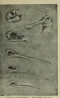 An illustration from Deucalion ; also, The King of the golden river ; The eagle's nest ; Arrows of the chace (1890)