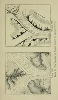 An illustration from Deucalion ; also, The King of the golden river ; The eagle's nest ; Arrows of the chace (1890)