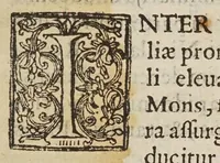 An illustration from De ui percussionis liber (1667)