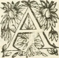 Picture 87 of 95 from Deuises heroiques et morales (1649), leaf 106