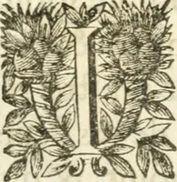 Picture 38 of 95 from Deuises heroiques et morales (1649), leaf 46