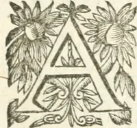 Picture 50 of 95 from Deuises heroiques et morales (1649), leaf 58