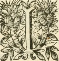 Picture 63 of 95 from Deuises heroiques et morales (1649), leaf 74
