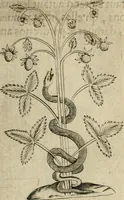 An illustration from Deuises heroiques et emblemes (1621)