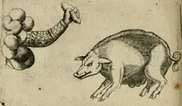 Picture 51 of 173 from Deuises heroiques et emblemes (1621), leaf 117