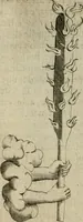 An illustration from Deuises heroiques et emblemes (1621)