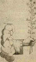 An illustration from Deuises heroiques et emblemes (1621)