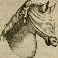 Picture 92 of 173 from Deuises heroiques et emblemes (1621), leaf 196