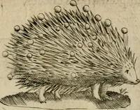 An illustration from Deuises heroiques et emblemes (1621)