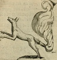 An illustration from Deuises heroiques et emblemes (1621)