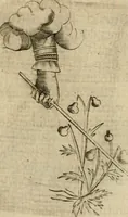 An illustration from Deuises heroiques et emblemes (1621)