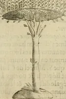 An illustration from Deuises heroiques et emblemes (1621)