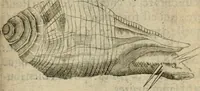 An illustration from Deuises heroiques et emblemes (1621)