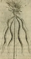 An illustration from Deuises heroiques et emblemes (1621)