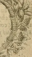 An illustration from Deuises heroiques et emblemes (1621)