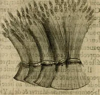 Picture 136 of 173 from Deuises heroiques et emblemes (1621), leaf 265