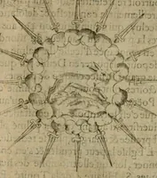 Picture 140 of 173 from Deuises heroiques et emblemes (1621), leaf 273