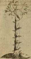 An illustration from Deuises heroiques et emblemes (1621)