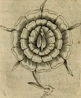 An illustration from Deuises heroiques et emblemes (1621)