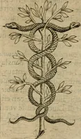 An illustration from Deuises heroiques et emblemes (1621)