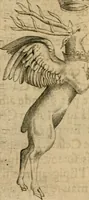 An illustration from Deuises heroiques et emblemes (1621)