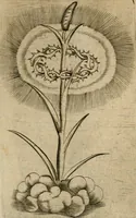 An illustration from Deuises heroiques et emblemes (1621)