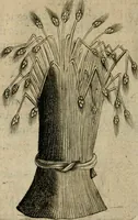 Picture 159 of 173 from Deuises heroiques et emblemes (1621), leaf 319