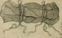 An illustration from Deuises heroiques et emblemes (1621)