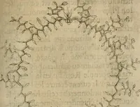 An illustration from Deuises heroiques et emblemes (1621)