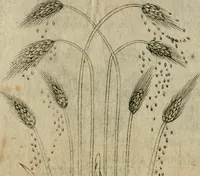 An illustration from Deuises heroiques et emblemes (1621)