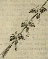 An illustration from Deuises heroiques et emblemes (1621)