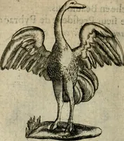 An illustration from Deuises heroiques et emblemes (1621)
