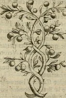 An illustration from Deuises heroiques et emblemes (1621)