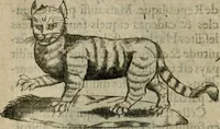 An illustration from Deuises heroiques et emblemes (1621)
