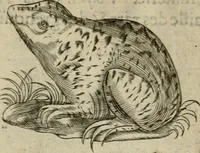 Picture 41 of 173 from Deuises heroiques et emblemes (1621), leaf 94