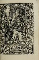 Picture 16 of 20 from Deuotissime meditationes de vita beneficiis et passio[n]e saluatoris Iesu Chr[ist]i cu[m] gratiaru[m] actione (1520), leaf 101
