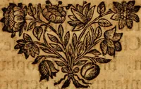 An illustration from De urinis et pulsibus : de missione sanguinis, de febribus, de morbis capitis, et pectoris (1698)