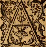 An illustration from De urinis et pulsibus : de missione sanguinis, de febribus, de morbis capitis, et pectoris (1698)