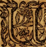 An illustration from De urinis et pulsibus : de missione sanguinis, de febribus, de morbis capitis, et pectoris (1698)