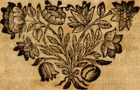 An illustration from De urinis et pulsibus : de missione sanguinis, de febribus, de morbis capitis, et pectoris (1698)