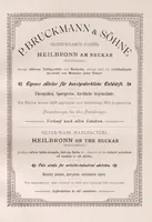 An illustration from Das deutsche Kunstgewerbe zur Zeit der Weltausstellung in Chicago, 1893. (1893)