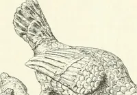 An illustration from Deutsche Kunstgeschichte (1888)