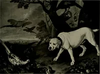 Picture 85 of 603 from Deutsches barock und rokoko : herausgegeben im anschluss an die Jahrhundert-ausstellung deutscher kunst 1650-1800, Darmstadt, 1914 (1914), leaf 145