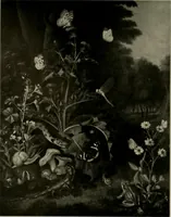 Picture 89 of 603 from Deutsches barock und rokoko : herausgegeben im anschluss an die Jahrhundert-ausstellung deutscher kunst 1650-1800, Darmstadt, 1914 (1914), leaf 147