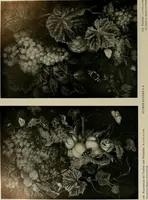 Picture 145 of 603 from Deutsches barock und rokoko : herausgegeben im anschluss an die Jahrhundert-ausstellung deutscher kunst 1650-1800, Darmstadt, 1914 (1914), leaf 188